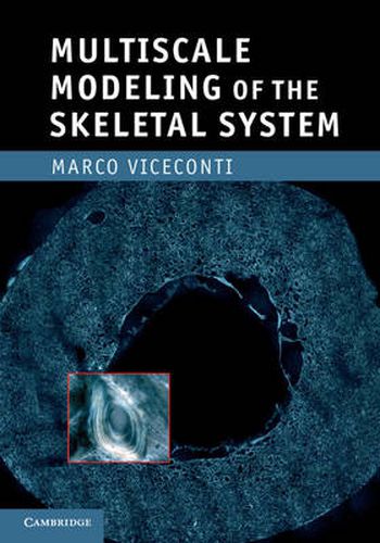 Cover image for Multiscale Modeling of the Skeletal System
