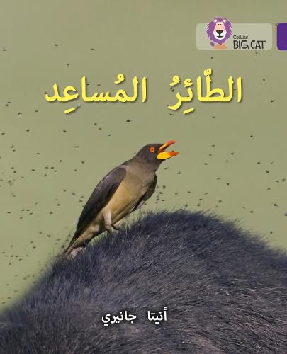 Cover image for The Helper Bird: Level 8