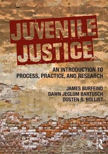 Cover image for Juvenile Justice: An Introduction to Process, Practice, and Research