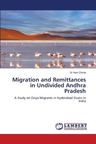 Cover image for Migration and Remittances in Undivided Andhra Pradesh