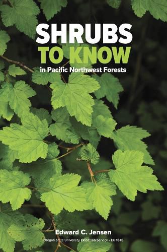 Cover image for Shrubs to Know in Pacific Northwest Forests
