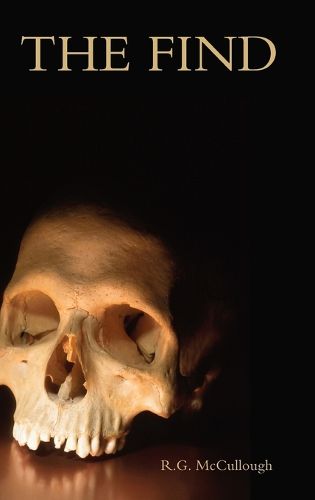 Cover image for The Find