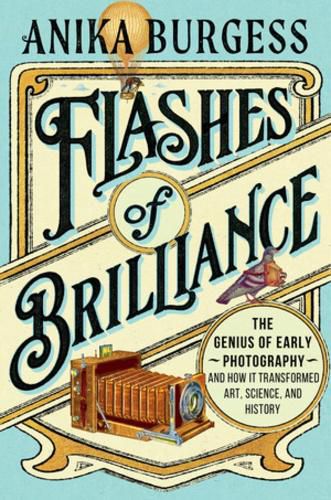 Cover image for Flashes of Brilliance