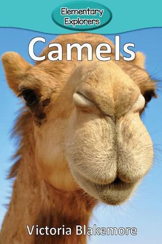 Cover image for Camels