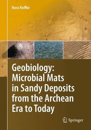 Cover image for Geobiology: Microbial Mats in Sandy Deposits from the Archean Era to Today