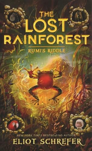 Cover image for Rumi's Riddle