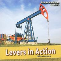 Cover image for Levers in Action