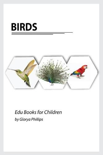 Cover image for Birds: Montessori real birds book, bits of intelligence for baby and toddler, children's book, learning resources.