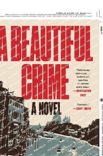 Cover image for A Beautiful Crime