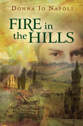 Cover image for Fire in the Hills