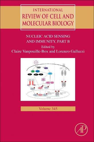 Cover image for Nucleic Acid Sensing and Immunity - PART B