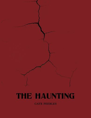 Cover image for The Haunting