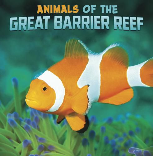 Cover image for Animals of the Great Barrier Reef