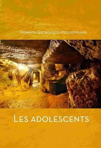 Cover image for Les Adolescents (Coeur D'or)
