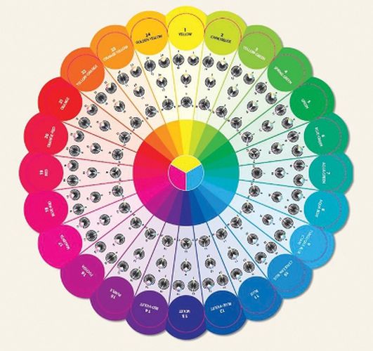 Cover image for Essential Color Wheel Companion