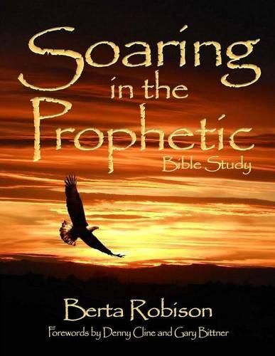 Cover image for Soaring in the Prophetic: Bible Study