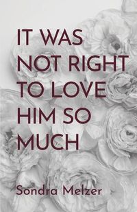 Cover image for It Was Not Right To Love Him So Much