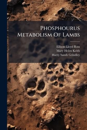 Cover image for Phosphourus Metabolism Of Lambs