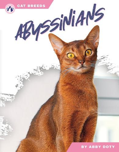 Cover image for Abyssinians