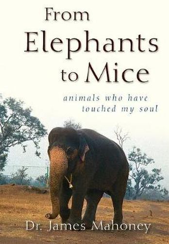 Cover image for From Elephants to Mice: Animals Who Have Touched My Soul