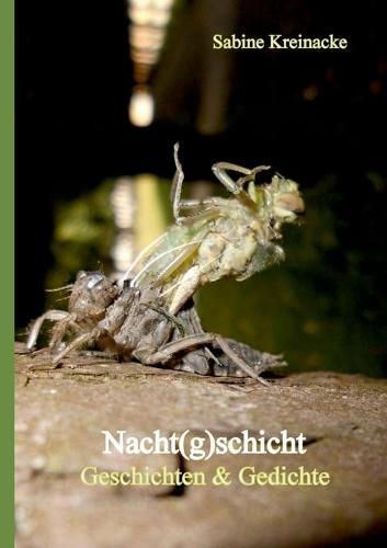 Cover image for Nacht(g)schicht: Geschichten & Gedichte