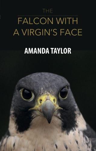 Cover image for The Falcon with a Virgin's Face
