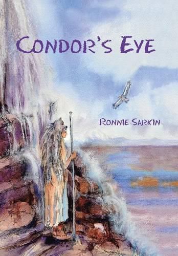 Cover image for Condor's Eye