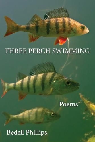 Cover image for Three Perch Swimming