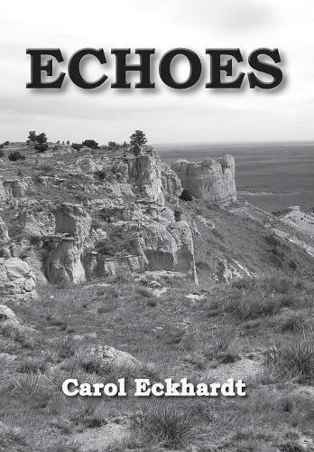 Cover image for Echoes