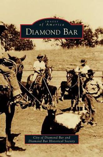 Cover image for Diamond Bar