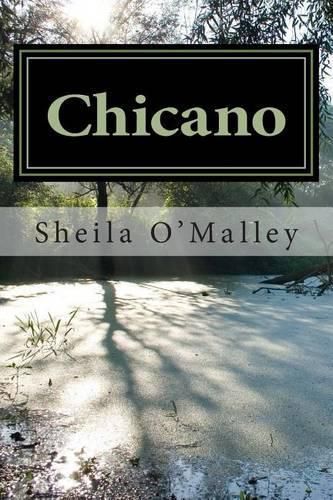 Cover image for Chicano