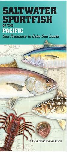 Cover image for Saltwater Sportfish of the Pacific: San Francisco to Cabo San Lucas