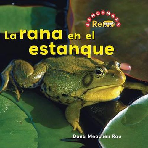 La Rana En El Estanque (the Frog in the Pond)