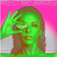 Cover image for Extension - The Extended Mixes