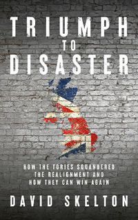 Cover image for Triumph to Disaster