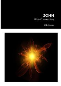 Cover image for John