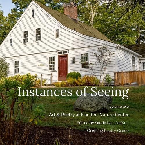 Cover image for Instances of Seeing, Volume 2