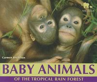 Cover image for Baby Animals of the Tropical Rain Forest