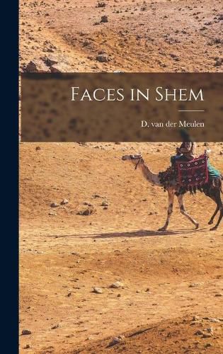 Cover image for Faces in Shem