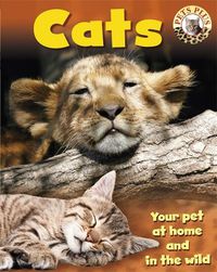 Cover image for Pets Plus: Cats