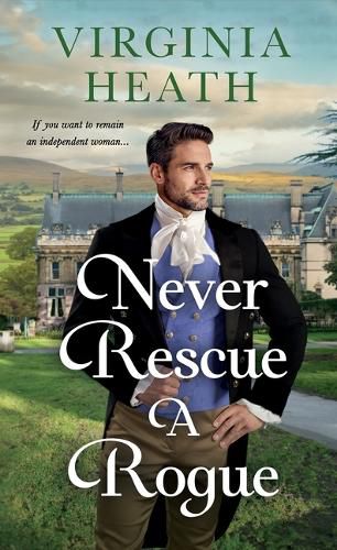 Cover image for Never Rescue a Rogue