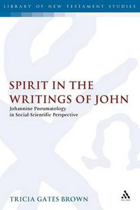 Cover image for Spirit in the Writings of John: Johannine Pneumatology in Social-Scientific Perspective