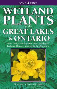 Cover image for Wetland Plants of the Great Lakes and Ontario