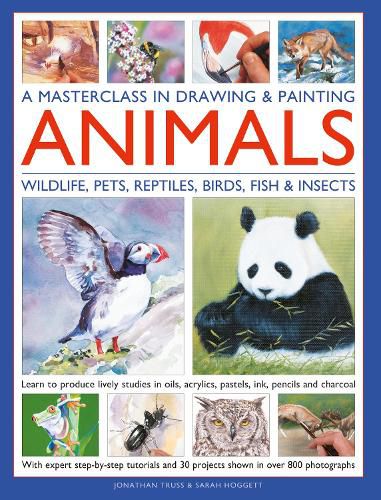 Cover image for A Masterclass in Drawing & Painting Animals (Wildlife, Pets, Reptiles, Birds, Fish & Insects)