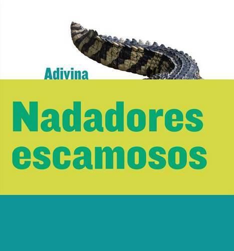 Nadadores Escamosos (Scaly Swimmers): Cocodrilo (Crocodile)