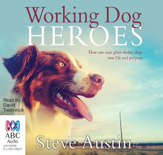 Cover image for Working Dog Heroes: How One Man Gives Shelter Dogs New Life and Purpose