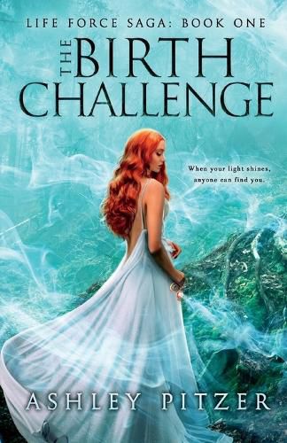 Cover image for The Birth Challenge