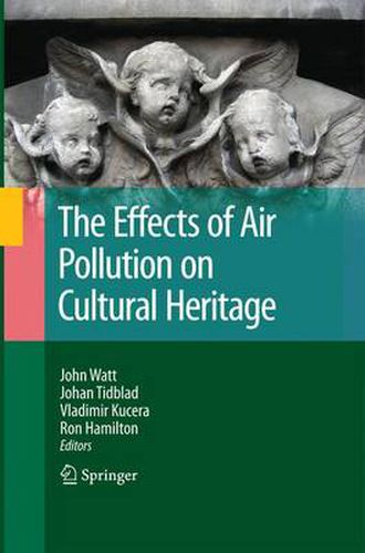 Cover image for The Effects of Air Pollution on Cultural Heritage