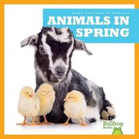 Cover image for Animals in Spring