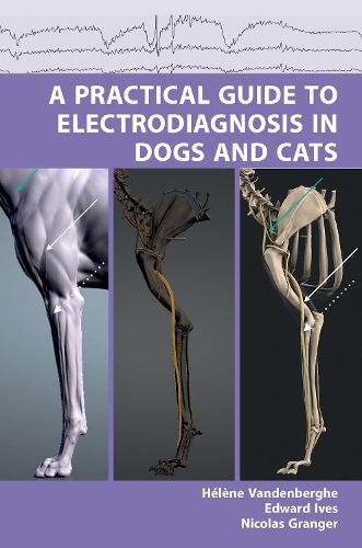 Cover image for A Practical Guide to Electrodiagnosis in Dogs and Cats